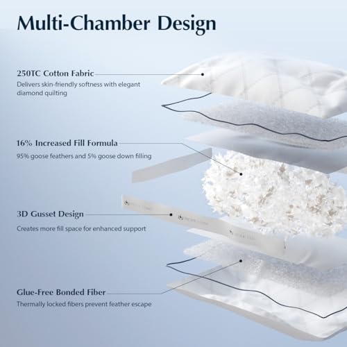 Pacific Coast Gusseted Pillows, Goose Feather and Down Firm Pillows, Luxury Hotel Collection Bed Pillows for Sleeping, Supportive Gusseted Dsign for Side and Back Sleepers (King (Pack of 2))