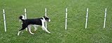 Affordable Agility Stick in the Ground 6 Pole Weave Set
