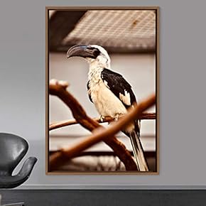 signwin Framed Canvas Wall Art Single Bird Birds...