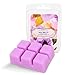 Variety Scented Wax Melts for Warmer - 6 Fragrances: Lavender, Vanilla, Rose, Apple Cinnamon, Lilac, Black Cherry - 100% Soy Candle Cubes