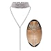 Woman Ladies Fashion Crystal Choker Necklace Sweater Necklace Long Pendant Wedding Party Jewelry