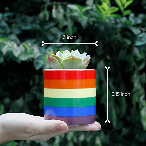 1 Greenaholics+Succulent+Pots+Cylinder+Planting