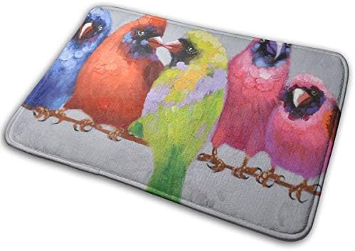 Yisliferunaz Doormat Art Colorful Cardinal Birds Paingting Entrance Rug Non-Slip Multi Coloured Outdoor Indoor Entry Carpet for Patio Kitchen Inside Floor Porch Garage Home Front Door