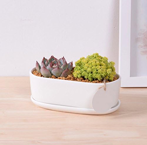 6.7 inch Enkel Modern White Ceramic Oval Succulent Planter Pot with Matching Tray Perfect for Home and Office, Makes A Great Gift, Plants NOT Included
