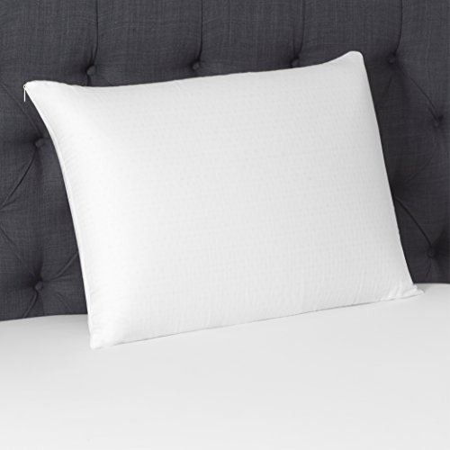 Beautyrest Latex Pillow with Removable Cover Standard Pricepulse