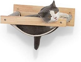 Fukumaru Cat Hammock Wall Mounted Large Cats Shelf Modern Beds And Perches Premium Kitty Furniture For Sleeping Playing Climbing And Lounging Easily Holds Up To 40 Lbs Black Buy