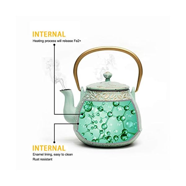 Tea Kettle, Toptier Japanese Cast Iron Teapot with Stainless Steel Tea