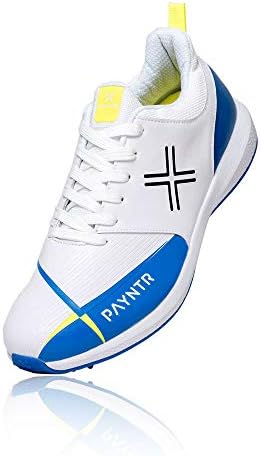 Payntr V Cricket Spikes - SS19