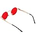 Pro Acme Round Steampunk Sunglasses for Women Men Retro Metal Frame Red (Gold Frame/Red Lens)