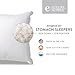 Extra Soft Down Filled Pillow for Stomach Sleepers w/Cotton Casing 2 Pack - Filled and Finished in The USA, Set of 2 Queen