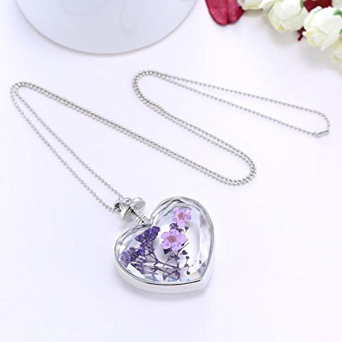 Clearance Women Necklace Daoroka Fashion Dry Flower Love Heart Glass Bottle Pendant Necklace Forget Me Not Valentines Gift For Girlfriends (E) - Thumbnail 4