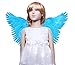 FashionWings TM Children's Blue Butterfly Style Costume Feather Angel Wings