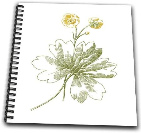 3drose Db 174646 1 Image Of Vintage Buttercup Drawing Drawing Book 8 By 8 Amazon Co Uk Kitchen Home