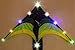 HENGDA KITE®-LED Lights for Kite,36 Lamp,10 Clips,5 Colorful Color