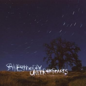 Saves The Day Under The Boards Vinyl Amazon Com Music