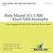 Holy Macro! It's 1,900 Excel VBA Examples: Every Snippet of Excel VBA Code You'll Ever Need by 