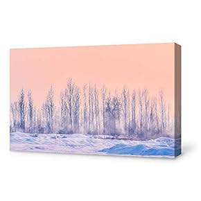 Canvas Wall Art Canvas Winter Forest Snow Painting Wall Poster Decor for Living Room Framed Home Decorations - 12x18 inches