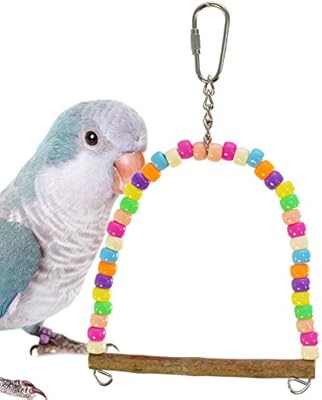 budgie toys amazon