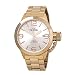 TW Steel Men's CB161 Analog Display Quartz Rose Gold Watch