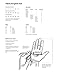 Hestra Fall Line 3 Finger Gloves