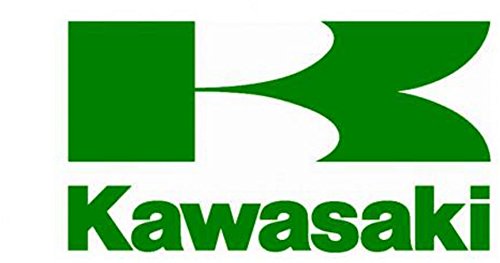 Kawasaki OEM Replacement Oil Filter O-Ring Z125 Pro 92055-3018