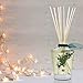 LOVSPA Sparkling Balsam Reed Diffuser Oil Set - Christmas Tree Scent with Pine, Fir Needles, Birch Wood and Amber - Natural Essential Oils and Real Botanicals - Beautiful Holiday Decor - 4.5 Ounces
