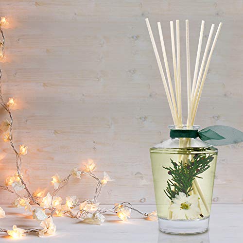LOVSPA Sparkling Balsam Reed Diffuser Oil Set - Christmas Tree Scent with Pine, Fir Needles, Birch Wood and Amber - Natural Essential Oils and Real Botanicals - Beautiful Holiday Decor - 4.5 Ounces - Thumbnail 5
