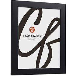 Craig Frames Essentials, 30x30 Picture Frame Matted