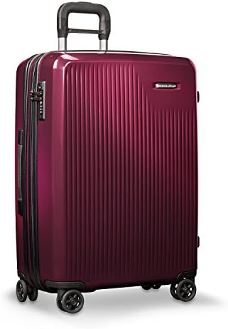27 inch suitcase amazon