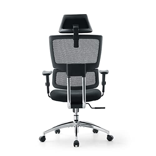 Ticova Ergonomic Office Chair High Back Desk Chair with Elastic