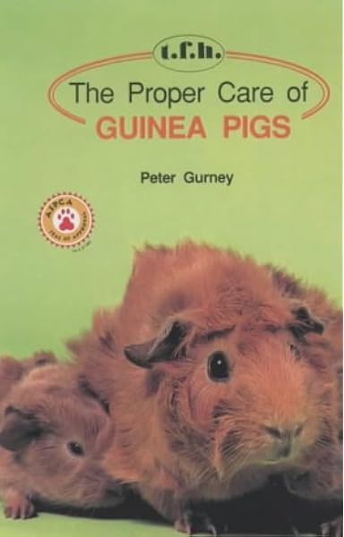 proper guinea pig care