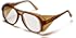 Pyramex Monitor Safety Eyewear Clear Lens With Carmel Frame