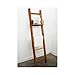 Haussmann® Teak Towel Ladder 18 x 64 in H Adj Shelf Teak Oil