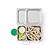 PlanetBox Shuttle Eco-Friendly Stainless Steel Bento Lunch Box with 2 Compartments for Adults and Kids - Purple Carry Bag with Lady Bug Magnets
