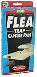 SpringStar - Flea Trap Capture Pads - 3 Pad(s)