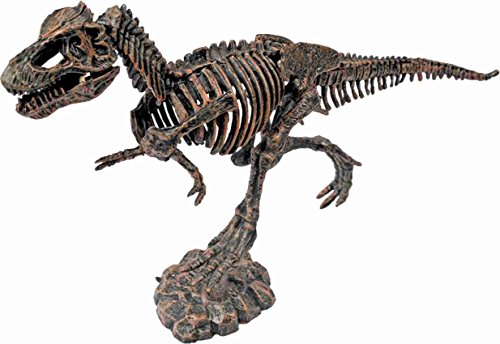 2 Ulysse+ERAS+Life+Excavation+Kit