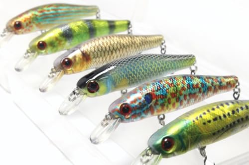 wLure Minnow Crankbait for Bass Fishing Bass Lure Jerkbait Fishing Lure (HM606KB, with Tackle Box)