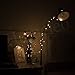 Homeleo 5M 50LEDS Battery Operated Remote Contol LED String Lights Flexible Copper Wire Light LED Starry Lights Fairy Lights AA Battery Powered Tiny Decorative Lights(50 LEDs, Warm White, Waterproof)