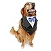 NACOCO Wedding Tuxedo Large Dog Bandana Scarf Adjustable Cat Collar Neckerchief Pet Dress-up Clothes Dog Costumes for Wedding Party or Halloween (Blue)