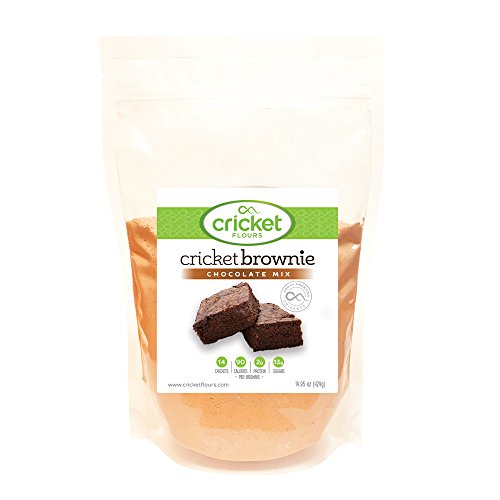 Cricket Flour: Cricket Brownie Mix (20 Servings) Made with Gluten Free Flours + Crickets for Added Protein & Nutrition (Made in Portland, Oregon USA)