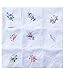La closure Cotton Embroidered Ladies Lace Handkerchiefs 6 Pieces
