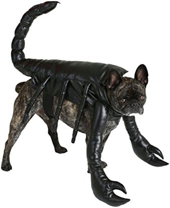Scorpion Dog Costume
