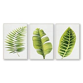 Framed Canvas Wall Art for Living Room, Bedroom Beautiful Plants Cactus Canvas Prints for Home Decoration Ready to Hanging - 16"x24"x3 Panels