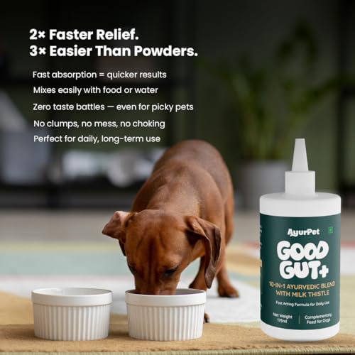 GoodGut+ Digestive Enzyme Drops for Dogs | Milk Thistle + Ayurvedic Herbs | Fast Acting Liquid Drop for Gut Health & Liver Function | Reduces Scratching & Paw-Licking | 30-Days (175 ml)