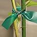 Gardener's Blue Ribbon T006B Sturdy Stretch Tie