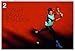 Fedegraphica: A Graphic Biography of the Genius of Roger Federer