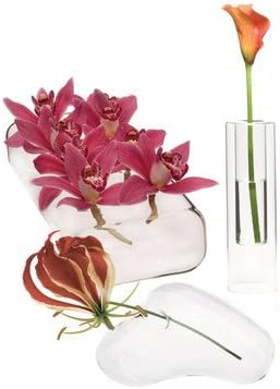Chive Vase Starter Kit-1ea 3 Lg Straight, 8-Hole Flute, Hudson 2 Drop Heart, Clear