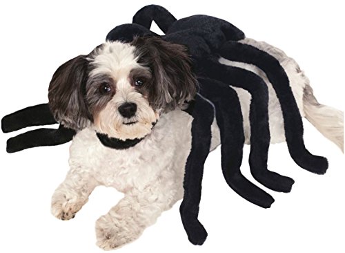 Rubies Costume Company Pet Spider Harness Costume