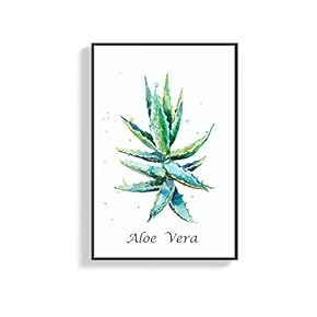 Framed Canvas Wall Art for Living Room, Bedroom Aloe Canvas Prints for Home Decoration Ready to Hang - 16x24 inches