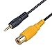 BATIGE RCA Plug to AUX 2.5mm AV Video In 2.5mm Male to RCA Adapter Cable & 3.5mm Mono Male To RCA Female Cable Kit for Car Rear View Reverse Parking Camera To GPS - 1ft